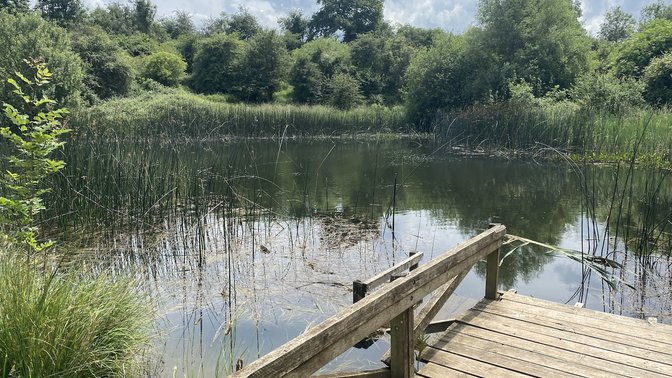Hinksey Heights Nature Reserve