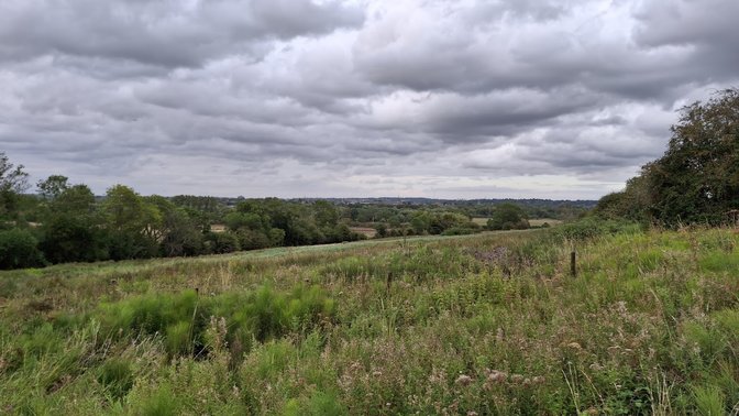 Hinksey Heights Nature Reserve