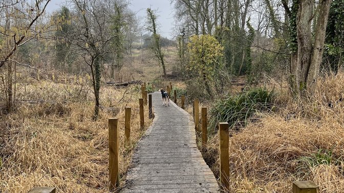 Hinksey Heights Nature Reserve