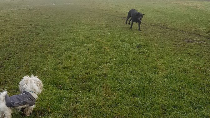 Marston Road Sports Ground