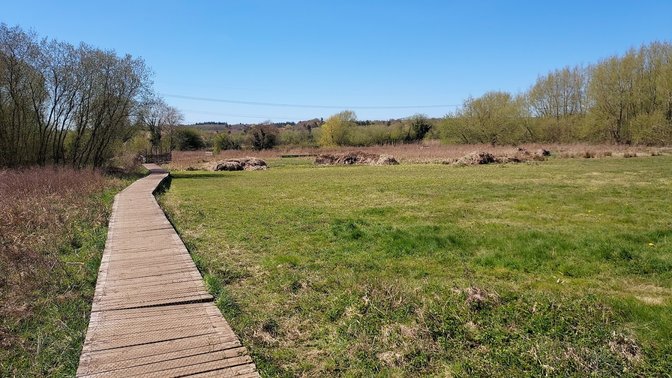 Heyford Meadow Nature Reserve