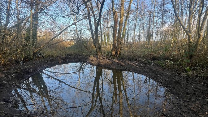 Boundary Brook Nature Reserve