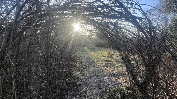Boundary Brook Nature Reserve