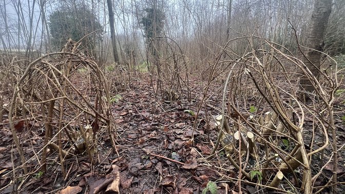 Boundary Brook Nature Reserve