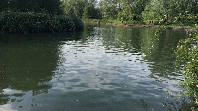 Longbridges Nature Park