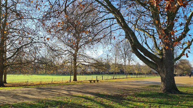 Contrada Tours - walking tours of Oxford