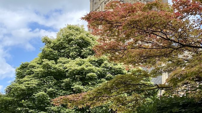 Corpus Christi College