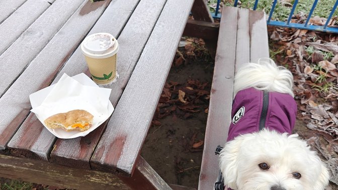 Courtside At Cutteslowe