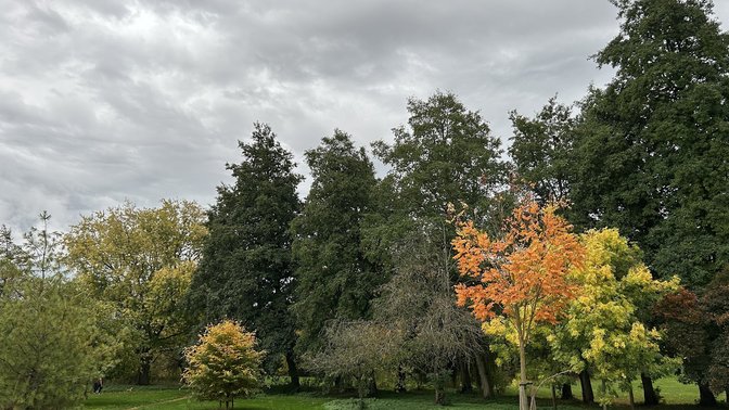 Cutteslowe and Sunnymead Park