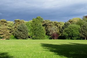 Florence Park