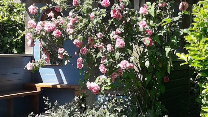 Garden Café at Restore