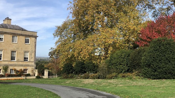 Global Retreat Centre - Day Yoga