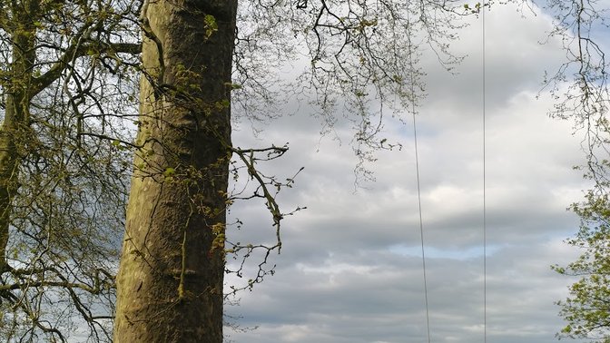 Global Retreat Centre - Day Yoga