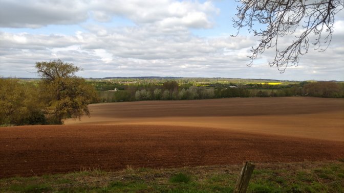 Global Retreat Centre - Day Yoga