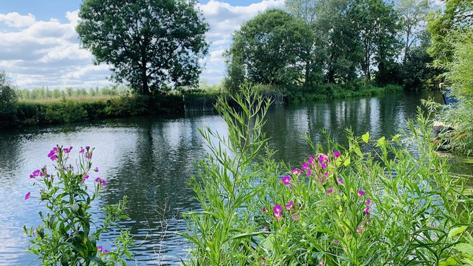 Global Retreat Centre - Day Yoga