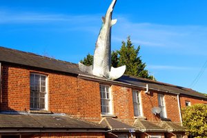 Headington Shark
