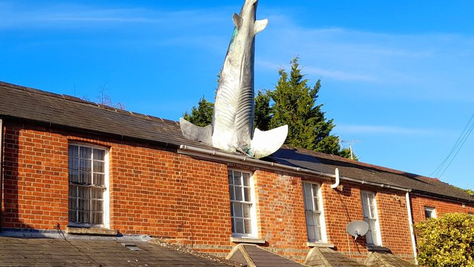 Headington Shark