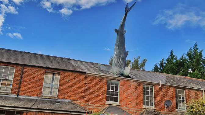 Headington Shark