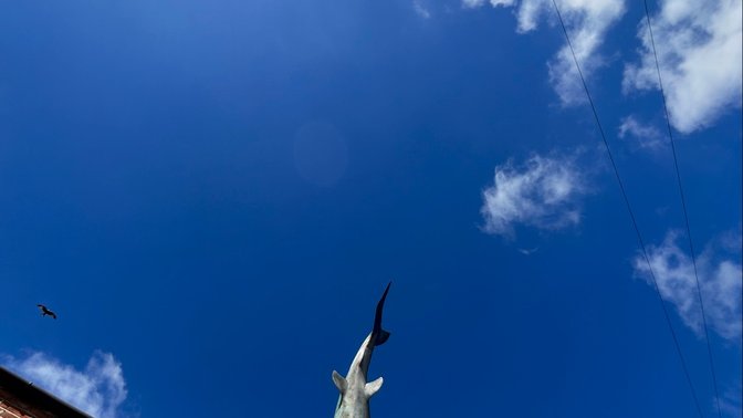 Headington Shark