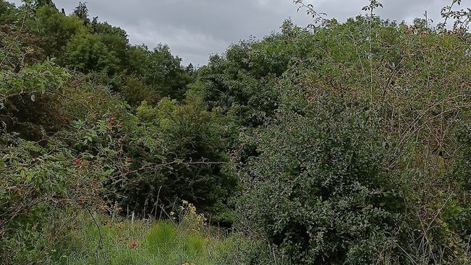 Hinksey Heights Golf Club