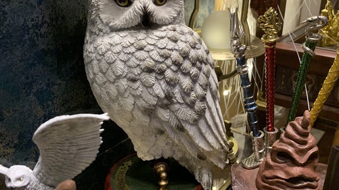 House Of Wonders Store