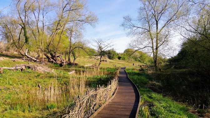 Lye Valley Nature Reserve, Oxford