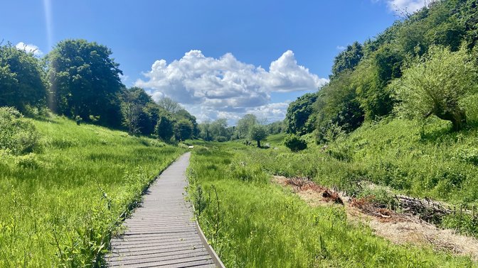 Lye Valley Nature Reserve, Oxford
