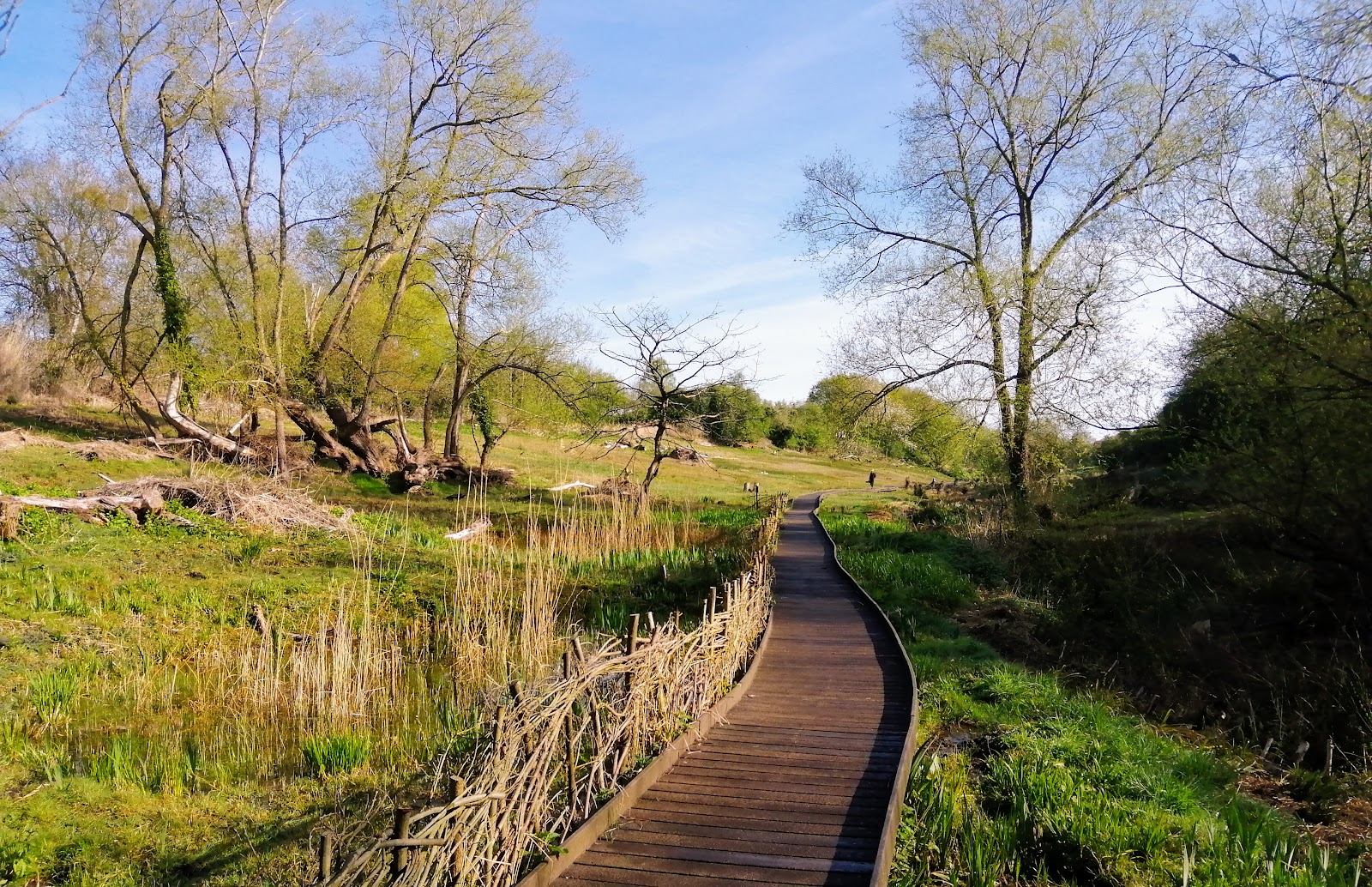 explore-lye-valley-nature-reserve-oxford-s-hidden-gem-what-s-on
