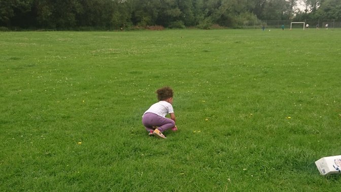 Meadow Lane Skate Park