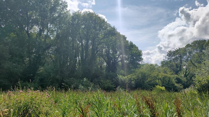 Milham Ford Nature Park