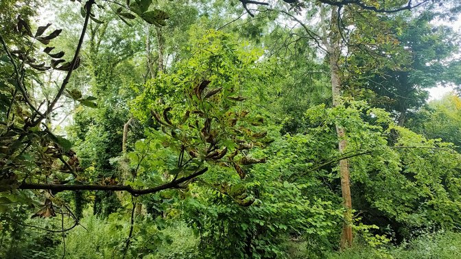 Milham Ford Nature Park