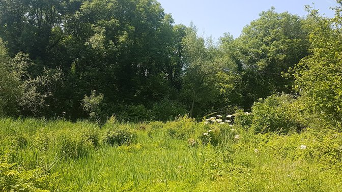 Milham Ford Nature Park