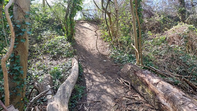 Milham Ford Nature Park