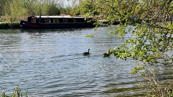 Milham Ford Nature Park