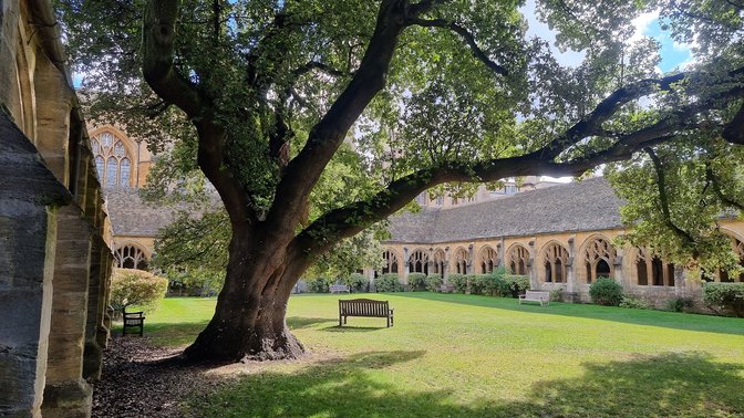 New College