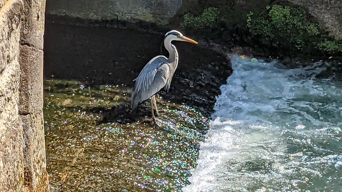 Osney Bridge