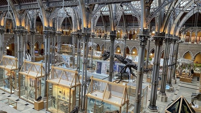 Oxford University Museum Of Natural History