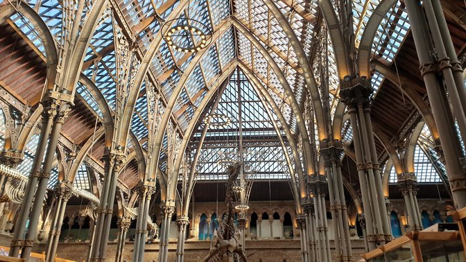 Oxford University Museum Of Natural History