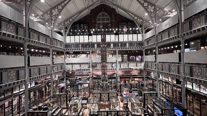 Oxford University Museum Of Natural History