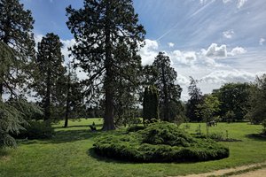 Oxford University Parks