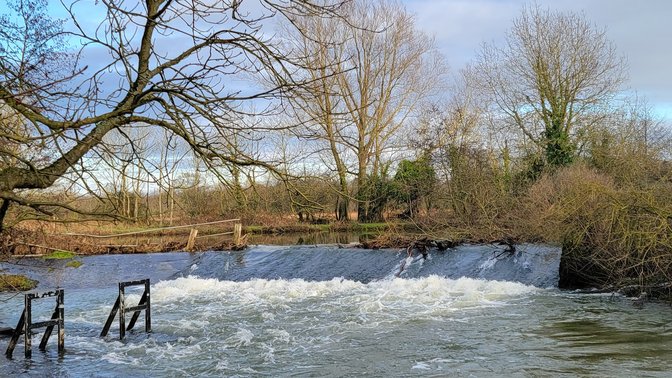 Oxford University Parks