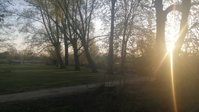 Oxford University Parks