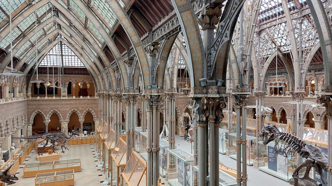 Pitt Rivers Museum