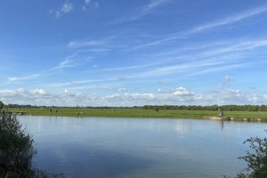 Port Meadow
