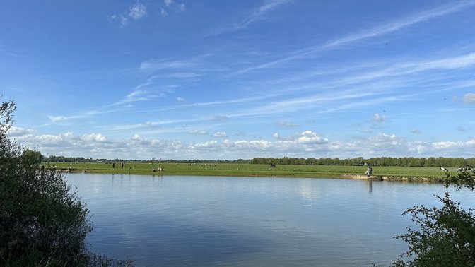 Port Meadow