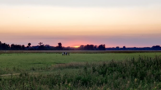 Port Meadow
