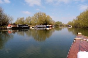 Salter\u0027s Steamers