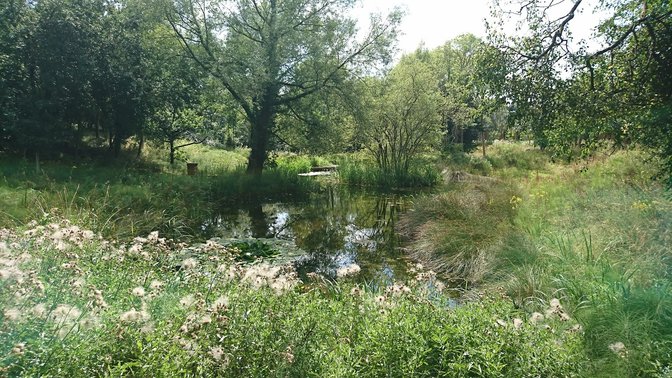 Science Oxford Centre