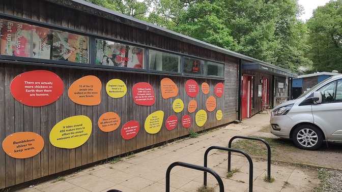 Scout Adventures Youlbury