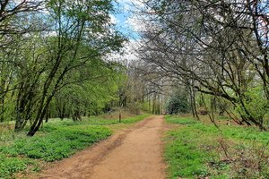Shotover Country Park